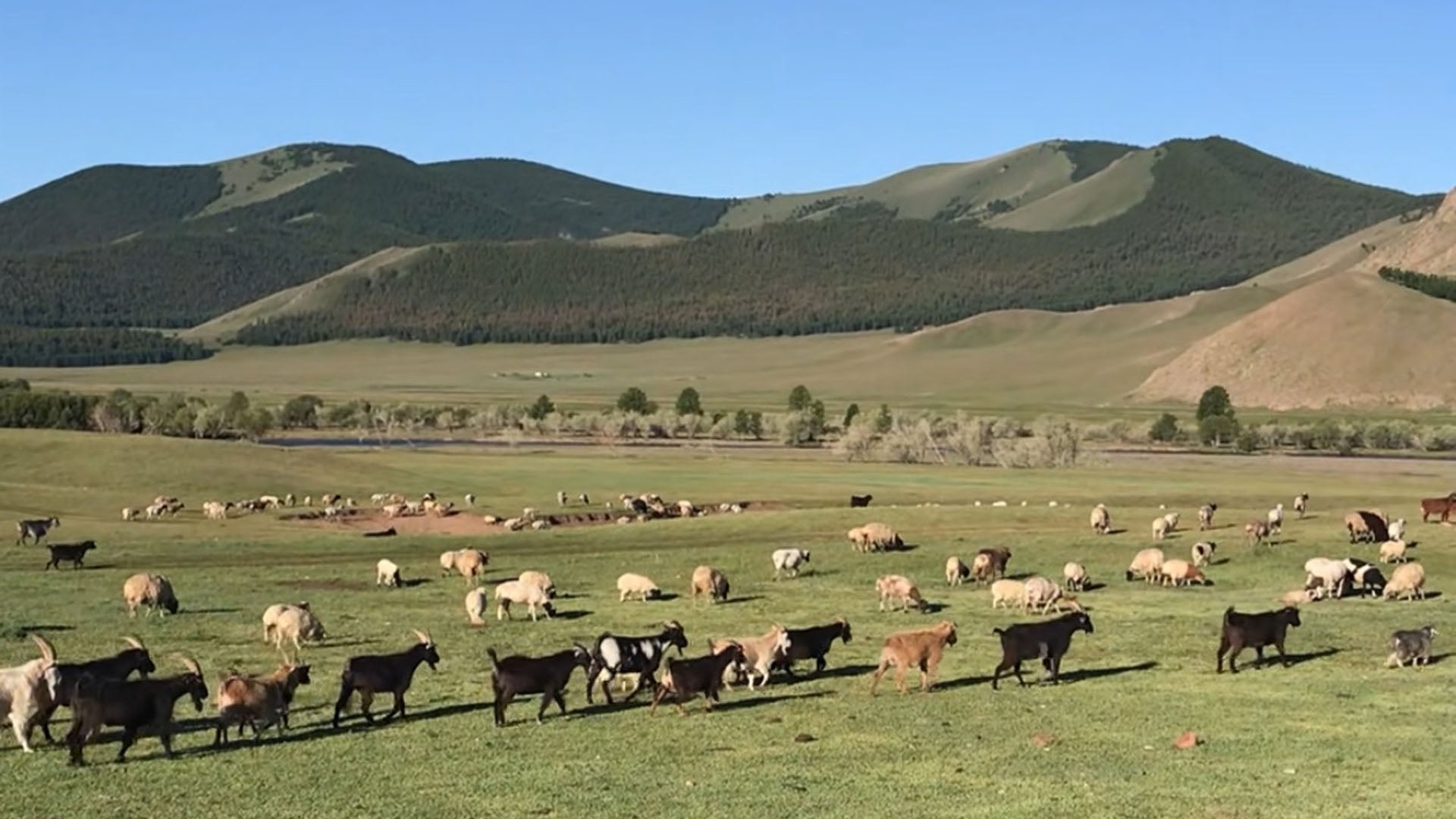 Zwischen Algorithmus und Atem - Über das Leben mit der Natur in Zeiten künstlicher Intelligenz