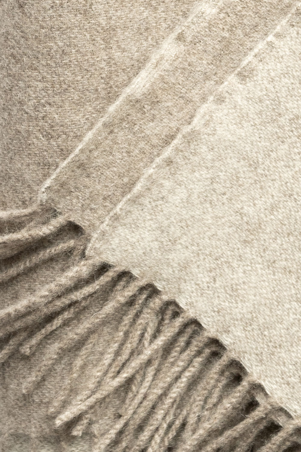 sheep's wool blanket Sartuul